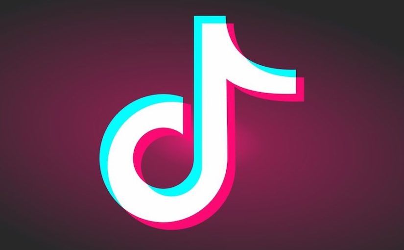 tiktok download with watermark reddit