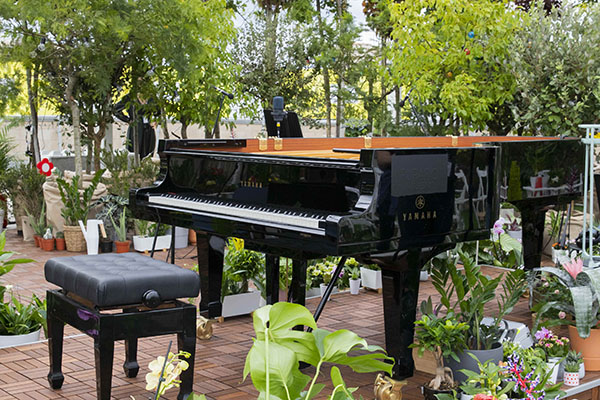 Ikea celebra la natura con un concerto di Allevi suonato per le piante