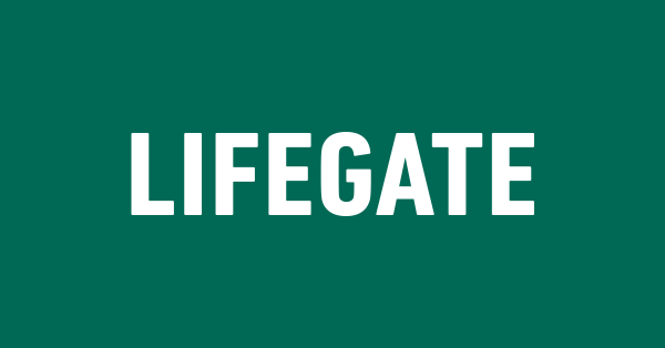 Guerino Delfino diventa presidente di Lifegate Consulting&Media