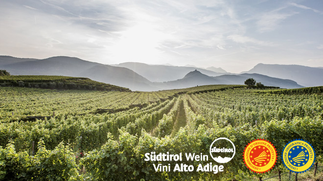 Consorzio Vini Alto Adige cerca un’agenzia per la promozione in Gran Bretagna e Svizzera