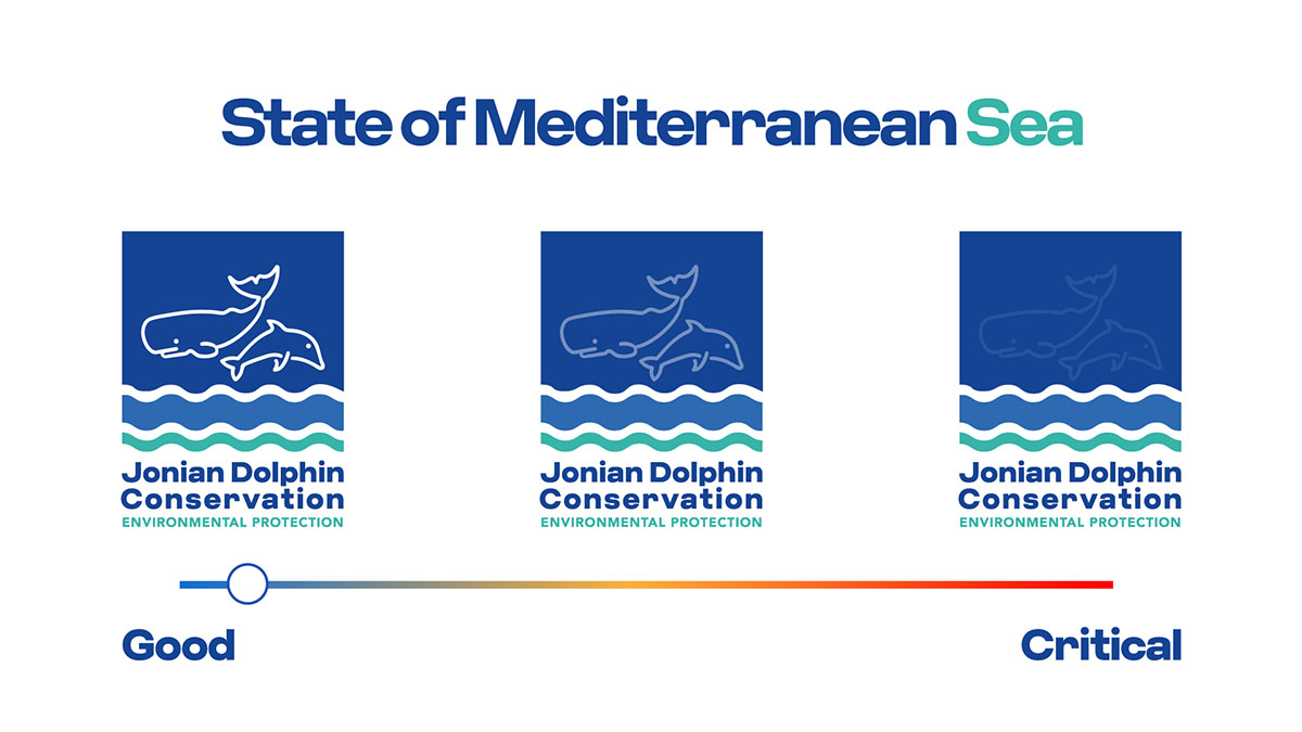 Tbwa\Italia ha ideato per JDC un logo dinamico che si modifica in base alla salute del mare