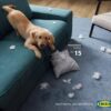 Ikea unisce l'affetto per i cuccioli di casa con la convenienza dei prodotti nella nuova campagna 'Don't worry, you can afford it'