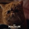 Nothing Cracks Like Magnum