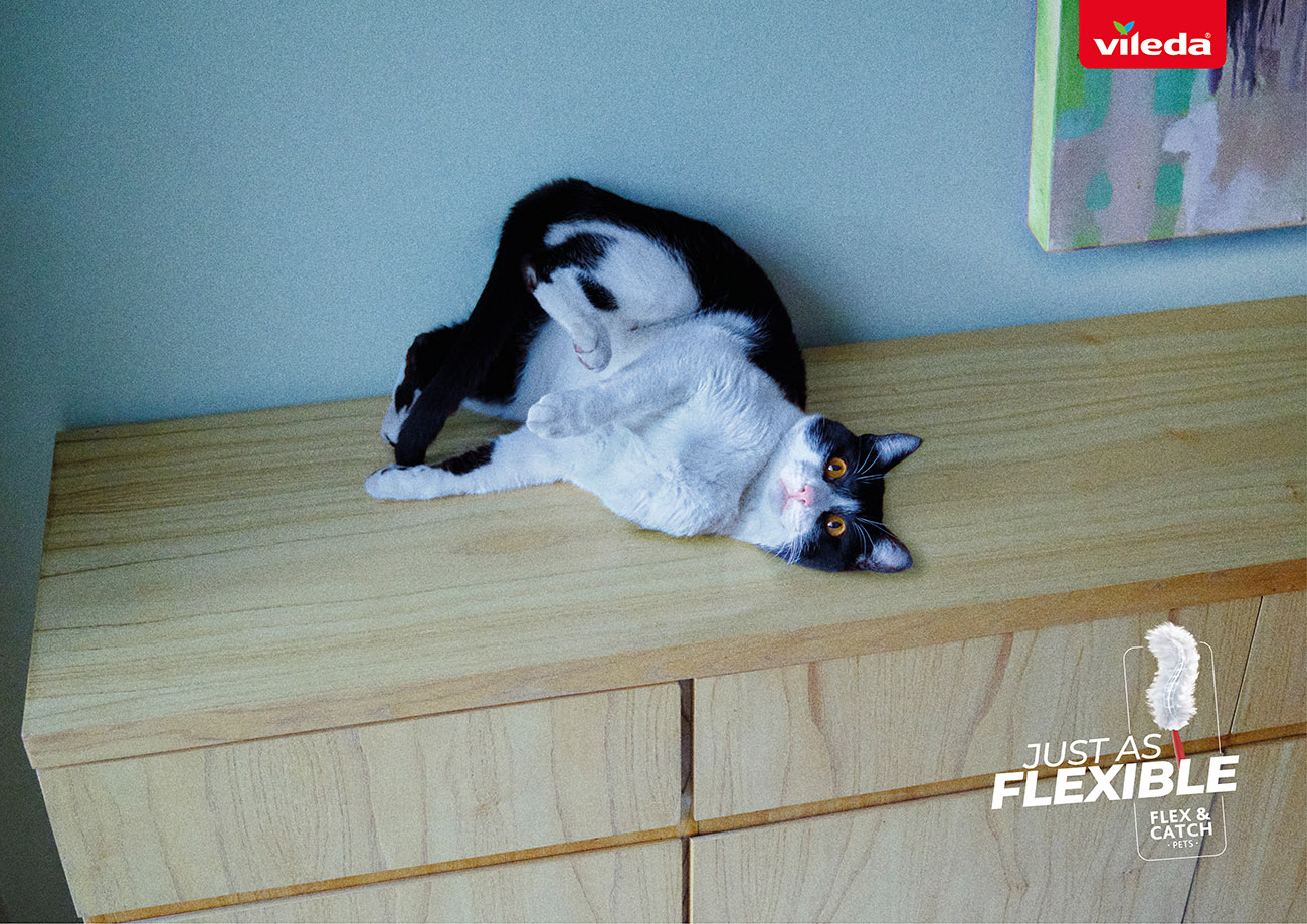 Il nuovo piumino Vileda è flessibile come un pet nella campagna di Herezie e scattata da Ale Burset Il nuovo piumino Vileda è flessibile come un pet nella campagna di Herezie e scattata da Ale Burset